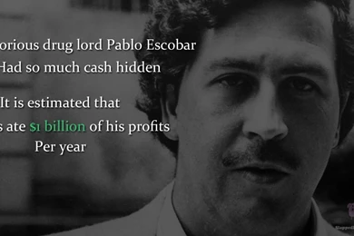 Pablo Escobar The King Of Cocaine   Video Dailymotion