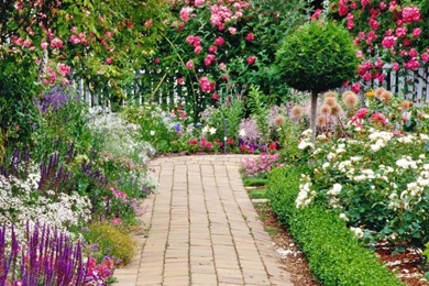 Flower Garden Backgrounds