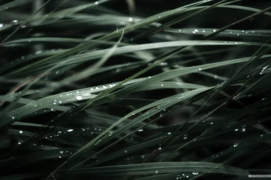 Free Wallpapers Free Nature Wallpapers HD Landscape 3 Wallpapers ...