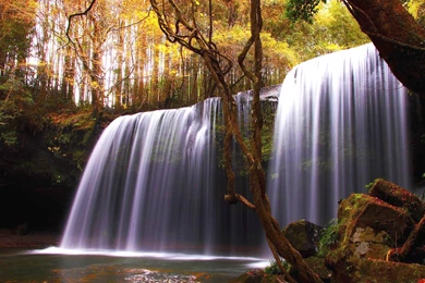 Forest Waterfall Wallpapers HD 1080p For Desktop