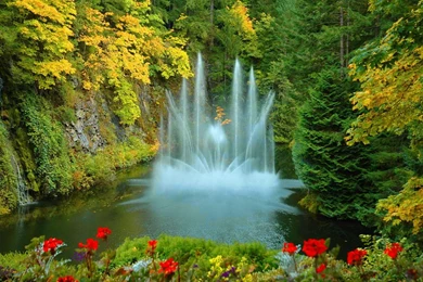 Gardens Wallpaper: Keukenhof Gardens Desktop Backgrounds Wallpapers ...