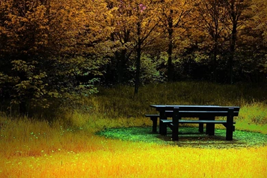 Gardens Wallpaper: Beautiful Garden Wallpapers Download HD ...