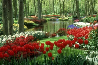 Flower Garden Wallpapers