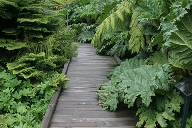 Gardens Wallpaper: Green Garden Wallpapers Free Hd Backgrounds ...