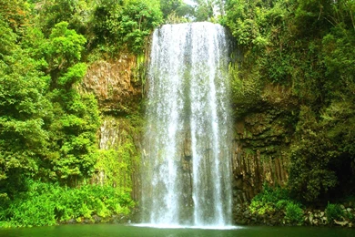 Forest Waterfall Wallpapers HD 1080p For Desktop