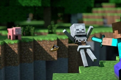 Minecraft iPad 1 & 2 Wallpapers