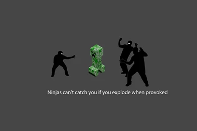 Ninjas Cant Catch You If Minecraft Wallpapers
