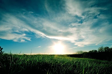 Green Grass & Sky Desktop Backgrounds   Desktop Backgrounds