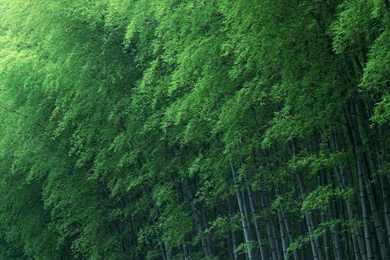 Macbook Air HD Wallpapers (59)