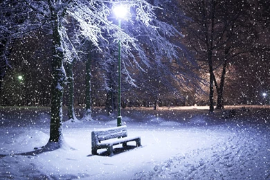 Brilliant_Winter _HD _Wallpapers.jpeg