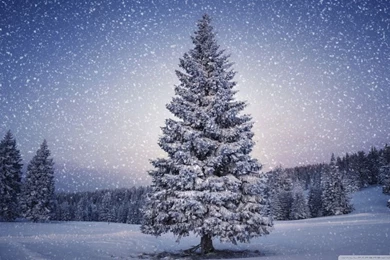 Fairy Tale Winter HD Desktop Wallpapers : High Definition ...