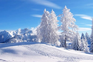 Winter Scenes Wallpapers