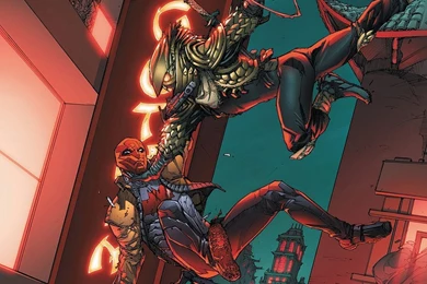 19 Red Hood HD Wallpapers