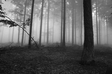 Little Red Riding Hood By Charles Perrault (Interactive Version ...