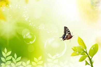 Spring Desktop Wallpaper.jpg