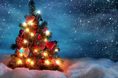 1024x768 Christmas Tree Outside Desktop PC And Mac Wallpapers
