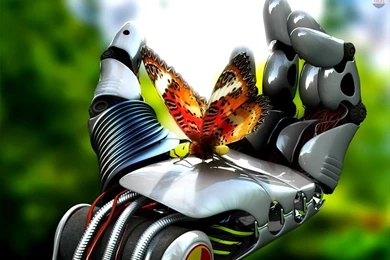 500+ HD Wallpapers For PC 1920x1080 Feee Download 2016