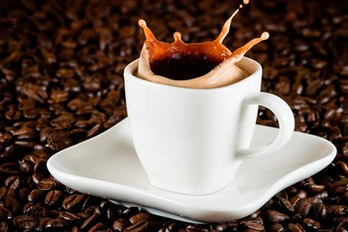 HD Quality Coffee Cup Full HD Wallpapers   SiWallpapers 23989