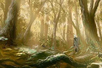 Dual Monitor Screen Multi Multiple Anime Wood Wallpapers ...