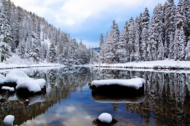 Winter Season On Nature Wallpapers Nature