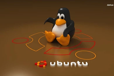 Ubuntu Wallpapers Computer Wallpapers