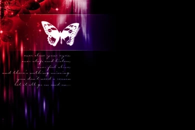 Butterfly Red Black Purple Wallpaper Backgrounds Picture And Layout ...