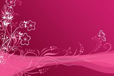 Pink Wallpapers HD Top M91