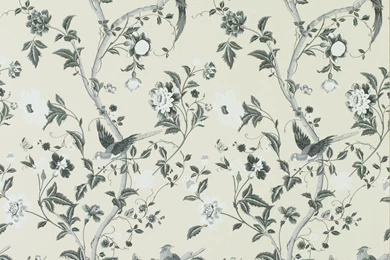 Floral Wallpapers HD Flower Dekstop Backgrounds