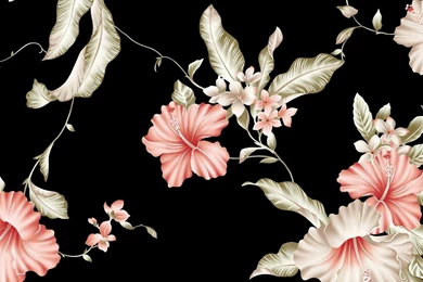 Beautiful Flower Wallpapers HD