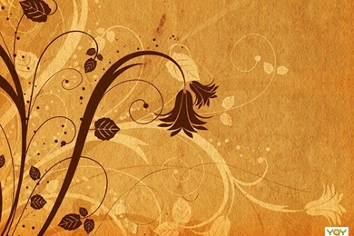 Floral HD Wallpapers