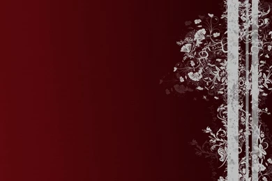 Floral Wallpapers   Wallpapers HD Base