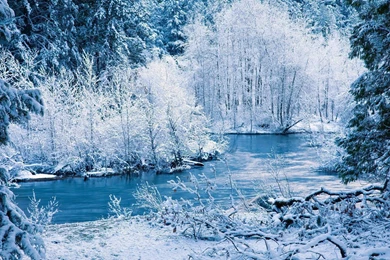 River In The Winter Forest Wallpapers   Nature Wallpapers