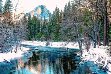 Amazing Blue River In The Winter Forest Wallpapers