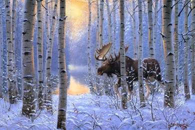 Elk In The Winter Forest Wallpapers And Images   Wallpapers ...