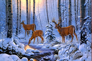 DEERS IN WINTER FOREST WALLPAPER   (