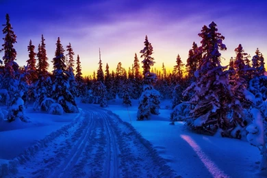 Winter Sunset Behind The Forest Wallpaper.jpg