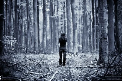 Beautiful Pictures Of Dark Forest