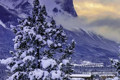 iPhone 4S, 4 Nature Wallpapers, Desktop Backgrounds HD