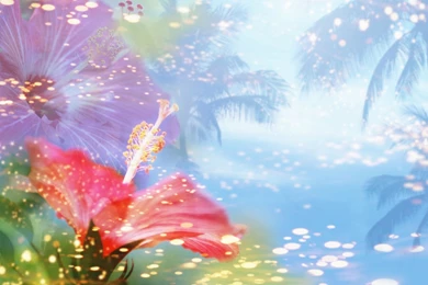 Desktop wallpaper flowers free download.jpg