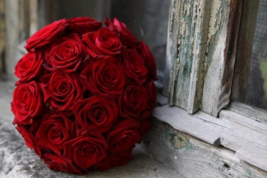 Flowers Wallpapers Archives   Page 10 Of 15   Free Desktop ...