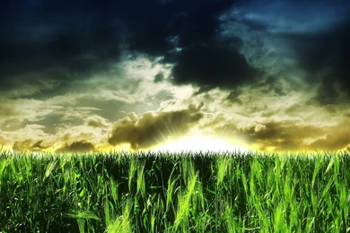 Mac Wallpaper Nature.jpg