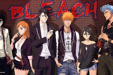 Bleach Wallpapers 2/6