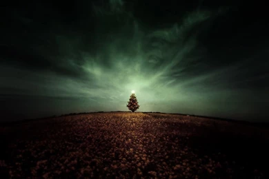 New Year   Holiday Wallpapers   Crazy Frankenstein