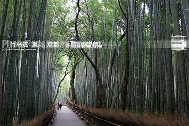 Tokyo And Japan Wallpapers : Download Backgrounds Pictures