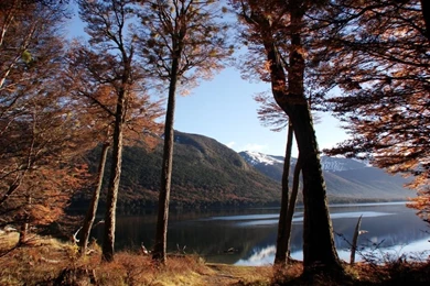 Free Screensavers And Wallpapers 7Screensavers.com