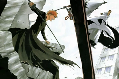 Download Wallpapers 1920x1080 Anime, Bleach, Ichigo, Captain Aizen ...