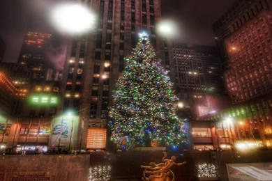 Download Wallpapers 2560x1440 Tree, Street, City, Lights, Holiday ...