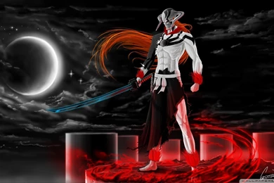 Bleach >> Free Download Bleach Wallpapers (31   36)