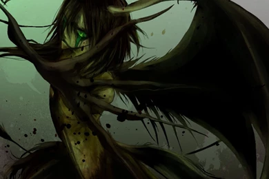 Bleach HD Wallpapers