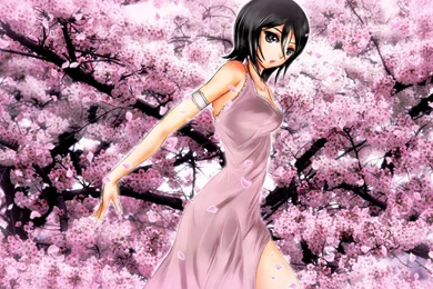 Rukia   Bleach Wallpapers   Anime Wallpapers